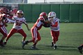 images/vsLincesFinal/DSC_0215.JPG