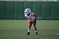 images/vsLincesFinal/DSC_0222.JPG